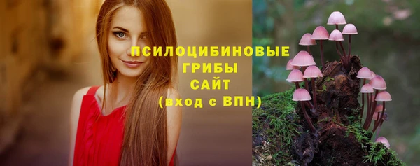 apvp Абинск